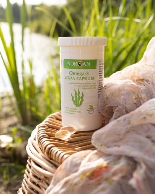 Omega-3 Vegan kapsulas - Image 6